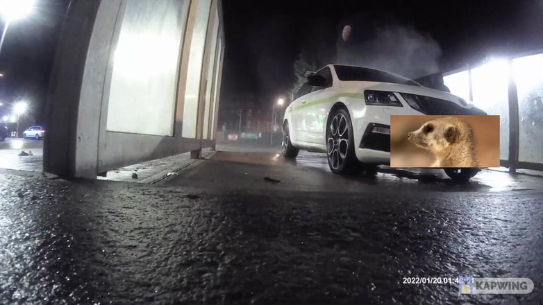 Lingeriemanx69: Car wash in stockings 1