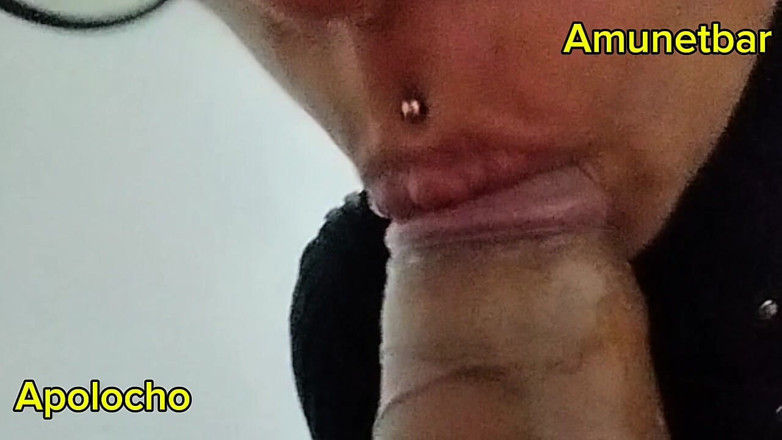 ApoloCho: Teman haus kontol lagi asik nyepong kontol