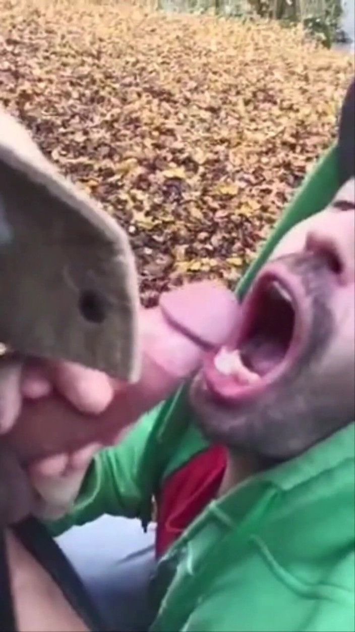 Justin hoodwar: Biên soạn Cumshot