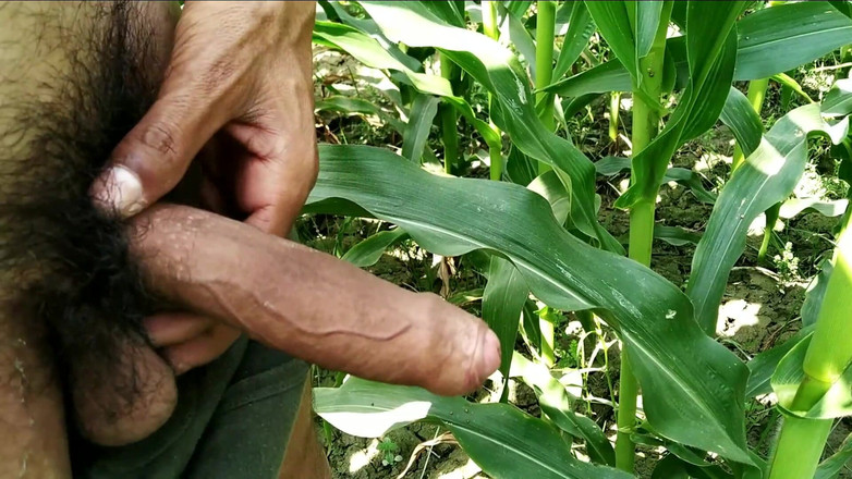 Desimast7: Cowok india masturbasi kontol besar di luar ruangan, viral