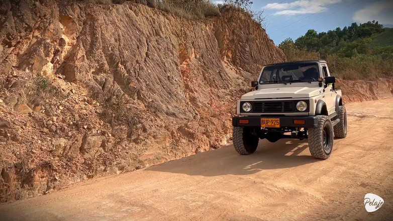 Pelaje mix: Vesnická žena chtěla sklidit ananas a místo toho vysadil Cassavu do...