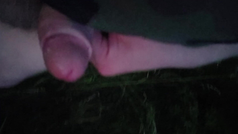 Player026: Masturbare frumoasă în parc