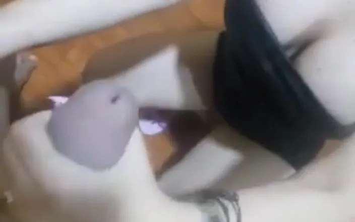 ColomPerx: Moje žena mi dává lahodnou malou masáž
