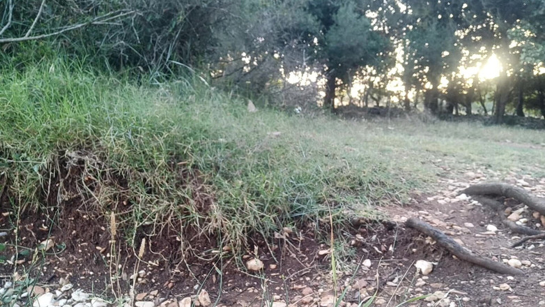 Kinky Guy: Gloria mattutina in spiaggia