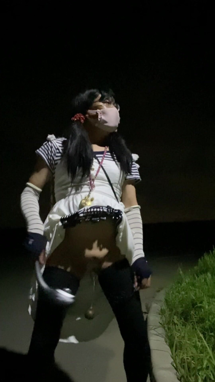 megu2002: No. 308 Public Masturbation Drive