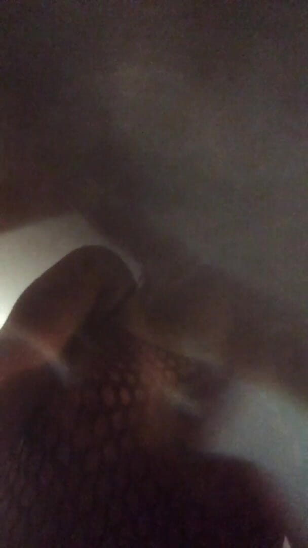 Stoyca: Stoyca selamba dalam kongkek muka kasar