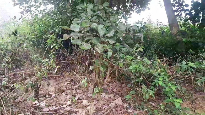 Trilokinath: Happened All and T-shirt First Time Sex with Outdoor