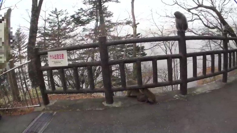 Raptor Inc: On an affair trip with marshmallow g-cups a-chan - Breeding time...