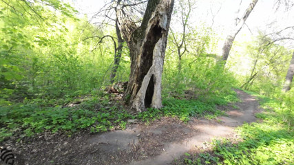 SaintVirginPro: Ha succhiato uno sconosciuto nel parco sperma in bocca. Gola...