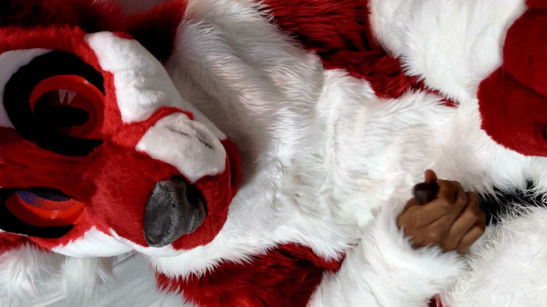 PawgrammerSocks: Furry in Full-body Fursuit Pisses on You, Then Cums Over...