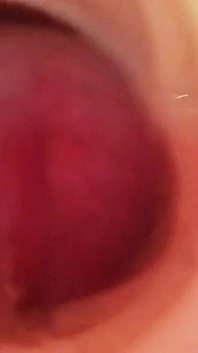Homefuck com sua namorada