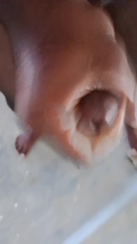 Hot Boys Sexy Video