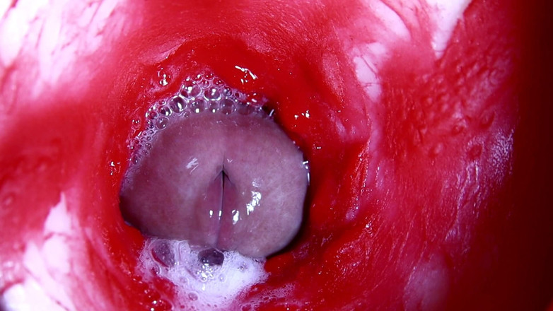 SEXY_GUYBEST: Trou sexy chaud et humide et grosse bite baveuse