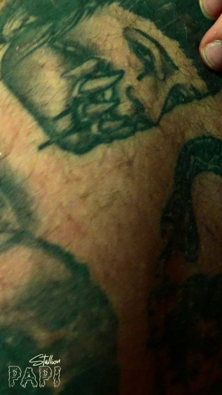 Stallion papi: Kinky Tattooed Cum