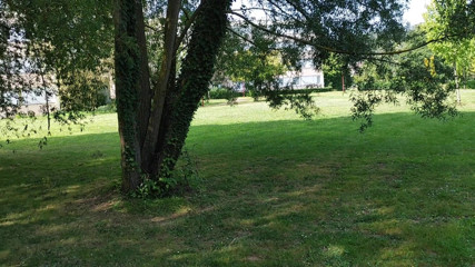 CharnElle: Risky outdoor blowjob center town park, get caught