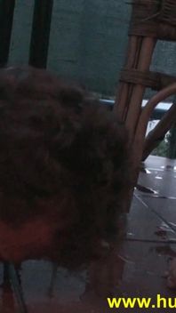 Brat Teen Humiliate Slave Joschi to Eat Her Cigarettes