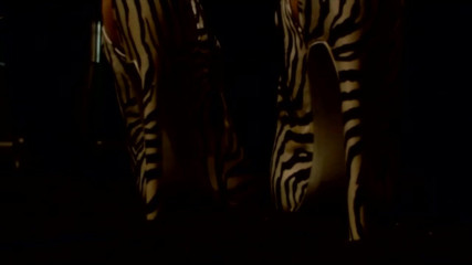 The Goddess Simone: Sexy zebra high heels