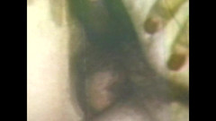 Vintage megastore: Vanessa Del Rio Golosa Tragona