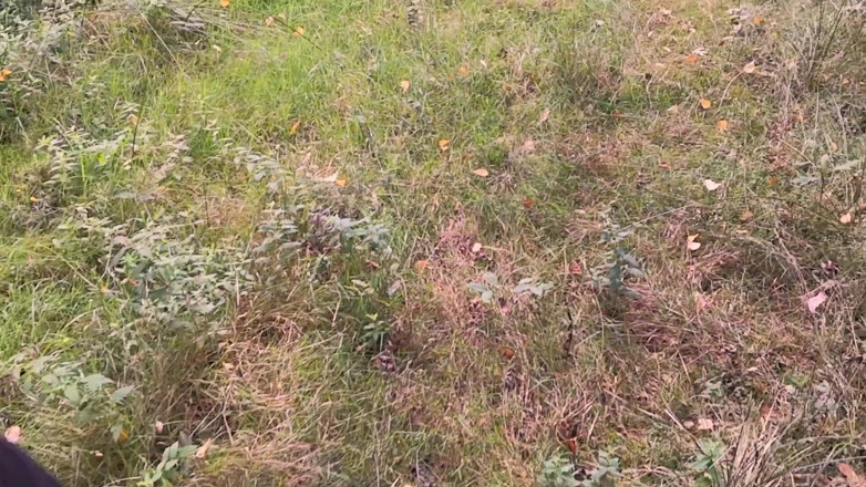 Bouncy Tits Action: Tit whipping in forest 267