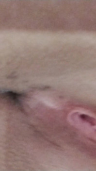 お好きですか。