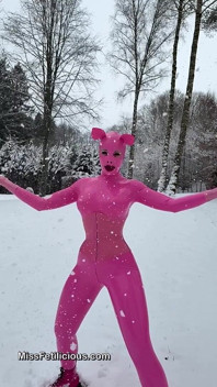 Snow Piggy