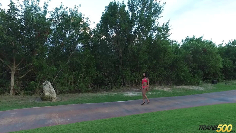 Trans 500: Taiira Navarrete's First Gangbang