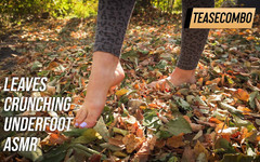 Teasecombo 4K: Leaves Crunching Underfoot Asmr