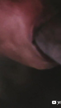 Big Dick in Her Small Mouth