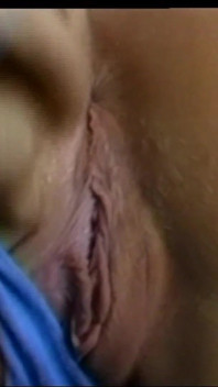 Penyelenggara Nakal