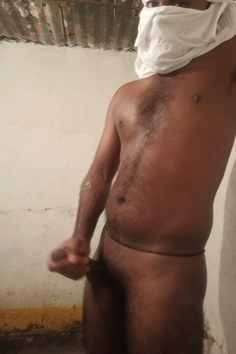 Mr xxx gay: XXX Videos Jhk