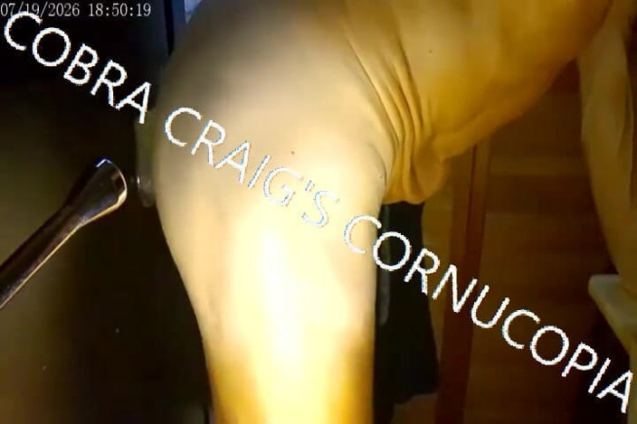 COBRA CRAIG: 7-19-2026 Take It Fuckin Easy Cobra