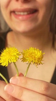 Éternuement imparable après avoir renifté une fleur jaune