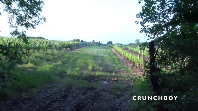 EXHIB BOYS: Juan Perez folosit brut de Enzo în croazieră de lemn
