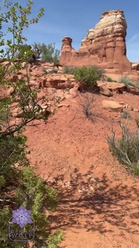 Pov sborra dappertutto grandi tette scopate uno sconosciuto nell'escursione panoramica nella natura