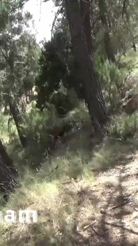 Another Clip Where You See Me in a White Dress After a Photo Shoot Walking Down a Steep Path with My Tits Out on Display.