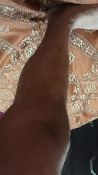 My First Anal Sex with Brother-in-law