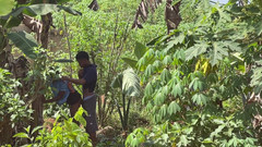 Amateur Teen Studio: Hãy nhanh chóng để không ai bắt gặp chúng tôi (đằng sau...