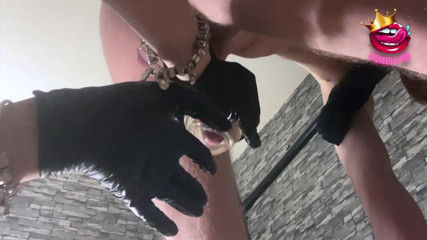 Mistress_BJQueen: De aproape muls de pulă reținută până la orgasme multiple...