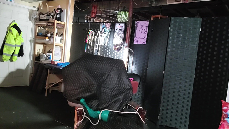 City hog: एडी पिग बन रही है