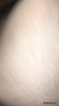 Indiana Desi Moglie Pecorina Video Sexy Hard Desi Bhabhi Hot Village Video Nuovo: Guarda Ora! Parte 1
