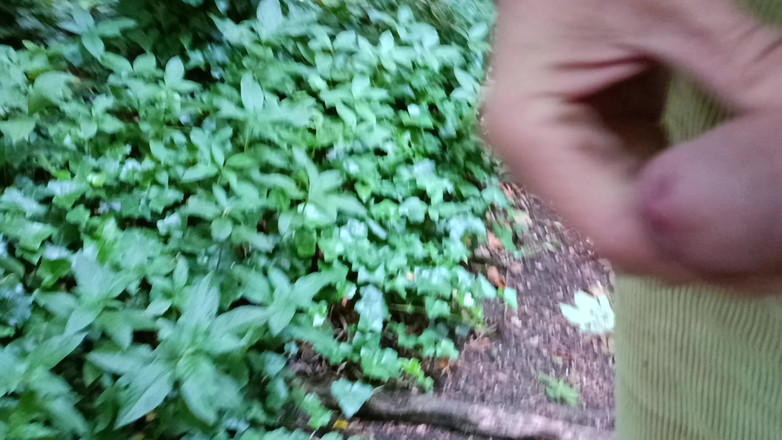 Rockardglans: 未割包皮的大鸡巴出去散步，撒尿，穿着绳子在树林里手淫 - Rockard Daddy