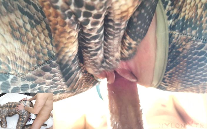 Nylon Xtreme: Pov nora fox rắn encasement zentai doggy phong cách