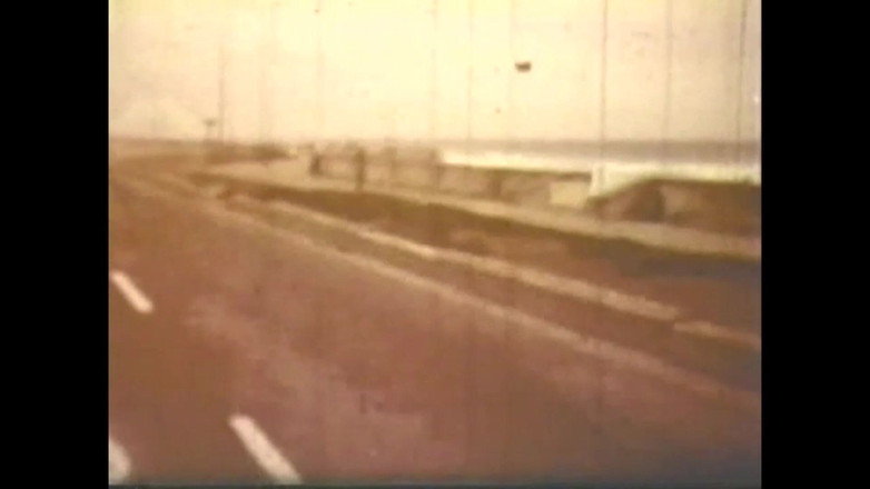 Vintage Megastore Full hd: Vulgární vrtošivé prase