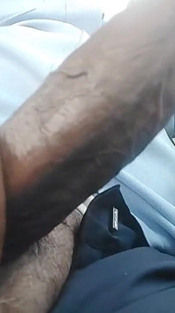 Hot Indian Cock