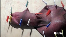 24本の釘-22ピンをボールに打ち込みました。