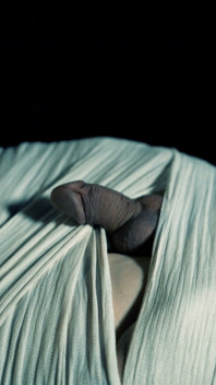 Mummified และชาร์จ: การกีดกันทางประสาทสัมผัสด้วยไฟฟ้า CBT