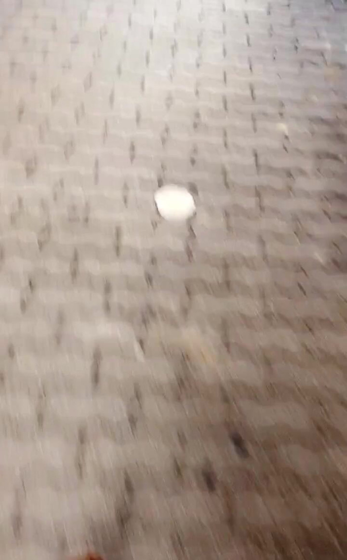 Nesty: Chào các bạn! a View Từ thành phố