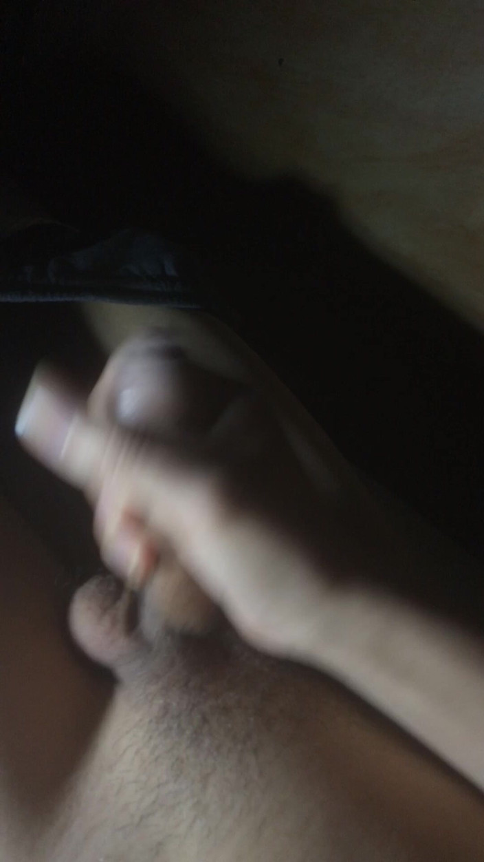 Shushu: Quickie in the Dark
