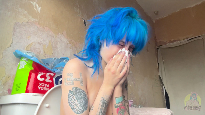 Alice Bean: Honks on the Toilet