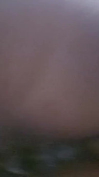 Hindi